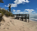 Shimmering Shores photo