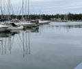 Shimmering Shores photo