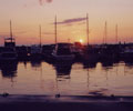 Shimmering Shores photo